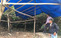 Bình Định: Cán bộ kiểm lâm, bảo vệ rừng Hồ Núi Một bị hành hung, hăm dọa