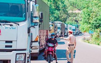 Bình Định: Truy bắt tài xế lái ô tô vượt chốt kiểm soát phòng dịch Covid-19
