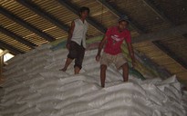 Xuất khẩu gạo cấp thấp của Việt Nam bị cạnh tranh quyết liệt