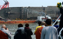 Xương tìm thấy trên phà Sewol có thể là... xương heo