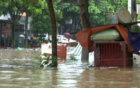 Người dân Lào Cai bơi đi “cứu” xế hộp trôi trên phố sau đêm mưa lớn