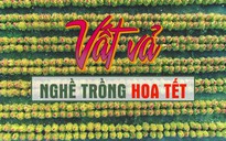 Vất vả nghề trồng hoa Tết