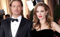 Angelina Jolie muốn bán nhà máy rượu vang đồng sở hữu với Brad Pitt
