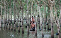 Thái Lan chi 1 tỉ USD hỗ trợ nông dân bị lũ lụt