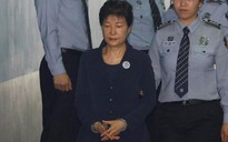 Ngày tuyên án, cựu Tổng thống Park Geun-hye không ra tòa
