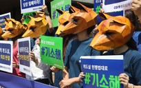 Tòa án Hàn Quốc ra phán quyết 'lịch sử': giết chó lấy thịt là phi pháp