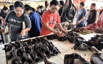 ‘Chợ dễ sợ nhất’ Indonesia dẹp dơi, rắn để phòng ngừa virus Corona gây viêm phổi Vũ Hán