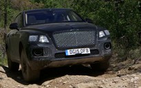 Bentley muốn Bentayga cạnh tranh khả năng offroad với Land Rover?