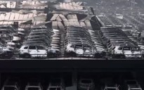 Hàng ngàn chiếc Volkswagen, Renault biến thành sắt vụn tại Trung Quốc