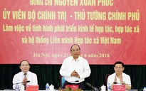 Hợp tác xã có sứ mệnh rất quan trọng trong quá trình hội nhập