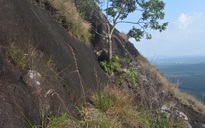 Phát hiện thi thể người lên núi tìm lan kẹt giữa khe đá