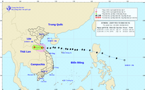 Dự báo thời tiết 30.8.2019: Bão số 4 suy yếu thành áp thấp nhiệt đới