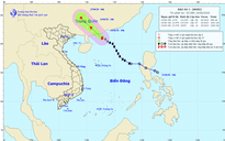 Dự báo thời tiết hôm nay 14.6.2020: Bão số 1 gây gió giật cấp 11 trên biển