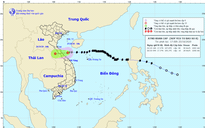 Bão số 8 vào vùng biển Hà Tĩnh - Quảng Trị, suy yếu thành áp thấp nhiệt đới