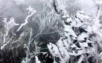 Dự báo thời tiết hôm nay 15.12.2020: Rét đậm, vùng núi có băng giá