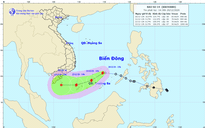 Bão số 14 gây gió giật cấp 10 trên biển
