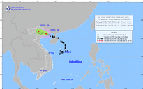 Tin tức thời tiết hôm nay 11.8.2022: Áp thấp nhiệt đới đi vào Quảng Ninh - Hải Phòng