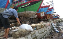 Phán quyết Biển Đông: Những ảnh hưởng và tác động đối với ngư dân VN