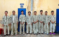 Trà Vinh: Tổ chức đánh bạc tại trường gà, 8 người bị khởi tố, bắt giam