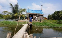 Khó tin những người Sài thành sống bình yên 'hệt dưới miền Tây'