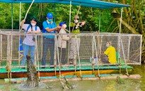 Người dân TP.HCM thích thú đi câu cá sấu
