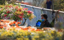 Những người miền Tây 20 năm chở ghe hoa lên TP.HCM bán tết ‘Trên bến dưới thuyền’