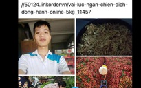 1.200 tình nguyện viên ứng dụng cộng nghệ bán 19 tấn vải thiều trong 2 ngày