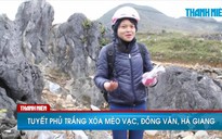 Tuyết phủ trắng xóa Mèo Vạc, Đồng Văn, Hà Giang