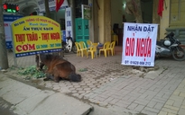 Giò ‘độc và lạ’ hút khách ngày Tết