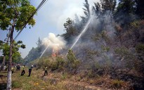 Cháy rừng trên bán đảo Sơn Trà