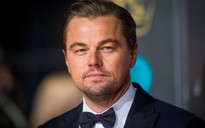 Leonardo DiCaprio gây quỹ 5 triệu USD giúp chữa cháy rừng Amazon