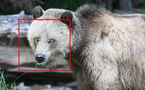 Sử dụng nhận diện gương mặt cho động vật