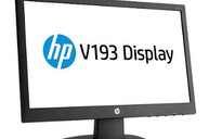 HP V193 - màn hình máy tính hàng đầu cho doanh nghiệp