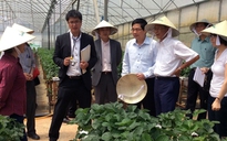 Việt - Nhật hợp tác phát triển nông nghiệp công nghệ cao