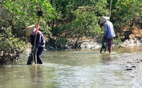 Những phận đời bên sông Trường Giang