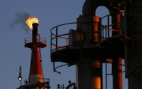 Giá dầu giảm, Shell sa thải 6.500 công nhân