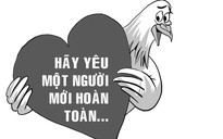 Vườn hồng