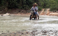 ‘Săn’ phu đào vàng: 'Ngựa thồ’ cảnh giới