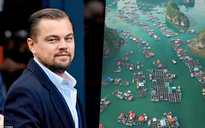 Leonardo DiCaprio ca ngợi vẻ đẹp tựa 'thiên đường' của vịnh Lan Hạ