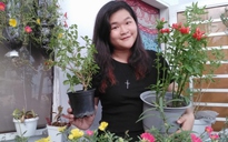 Sài Gòn giãn cách nhưng không… xa cách: Ở nhà trồng cây, đấu giá giúp người khó khăn