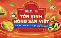 Có bao nhiêu loại QTV và nhiệm vụ của từng loại là gì?
