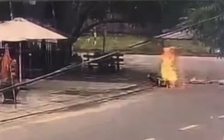 Quảng Nam: Con dâu cùng mẹ chồng đi đánh ghen bằng xăng khiến 'tình địch' bỏng nặng