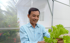 Bỏ ghế giám đốc về trồng rau thủy canh thu nhập hơn 100 triệu đồng/tháng