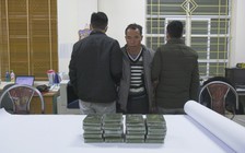 Phá mắt xích trong đường dây ma túy xuyên quốc gia, thu giữ 20 bánh heroin