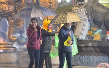 Công chức làm việc ngay sau tết, không đi lễ hội giờ hành chính