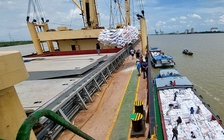 Việt Nam có thể trở thành 'nồi cơm Thạch Sanh' của thế giới?