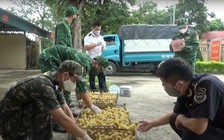 Ngăn chặn gia súc, gia cầm nhập lậu kiểu 'ném đá ao bèo’