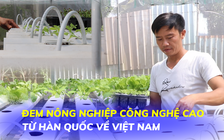 Từ công nhân xuất khẩu lao động thành ông chủ trại rau thủy canh công nghệ cao