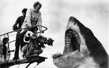Họ đã làm ra cảnh quay nổi tiếng trong 'Hàm cá mập' như thế nào?
