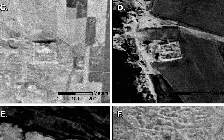 Ảnh vệ tinh 'khai quật' hàng trăm pháo đài La Mã ở Trung Đông